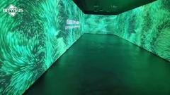 Bitvisus dix projecteurs solution de salle immersive